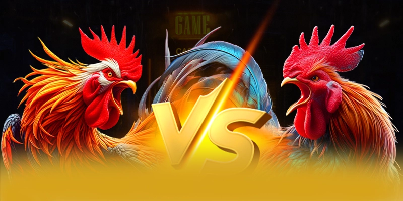 Trải nghiệm trên điện thoại di động cùng 8XBET